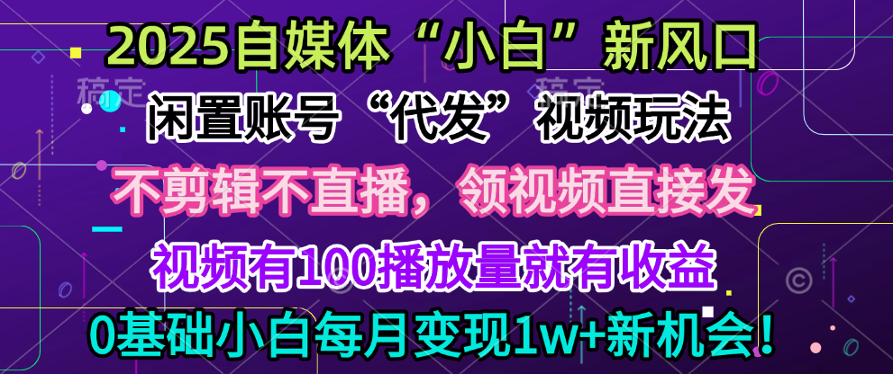 2025每月躺赚5w+新机会，闲置视频账号一键代发玩法，0粉不实名不剪辑，领了视频直接发，0基础小白也能日入300+-艾莉资源
