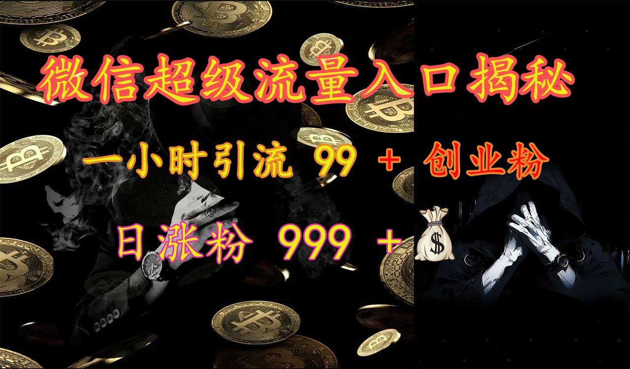 微信超级流量入口揭秘：一小时引流 99 + 创业粉，日涨粉 999 +【揭秘】-艾莉资源