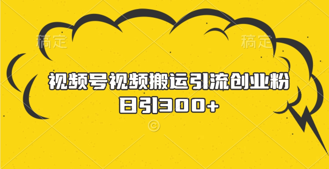 视频号视频搬运引流创业粉，日引300+-艾莉资源