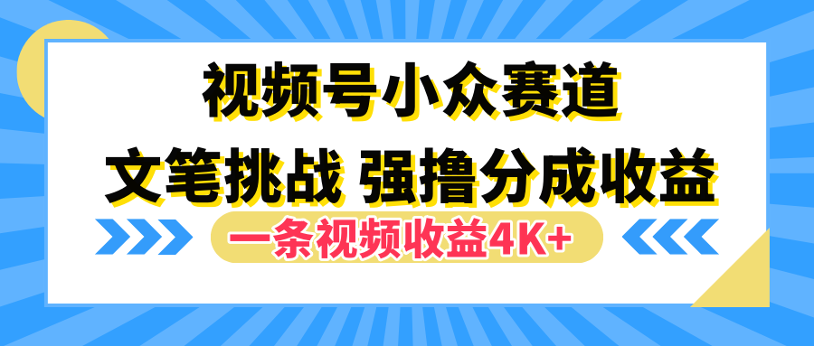 视频号小众赛道，文笔挑战，一条视频收益4K+-艾莉资源