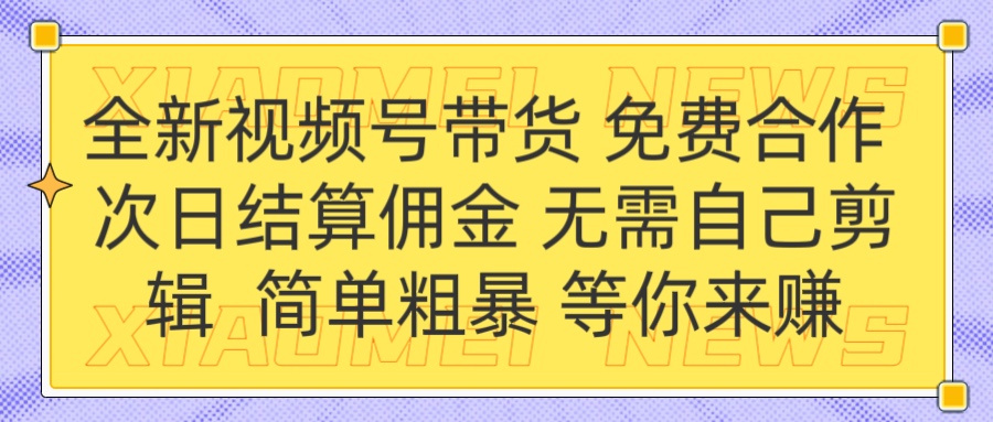 全新视频号 免费合作 佣金次日结算 无需自己剪辑-艾莉资源