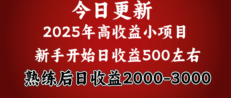 2025开年好项目，新手日收益500+ 熟练掌握后，日收益平均2000多-艾莉资源