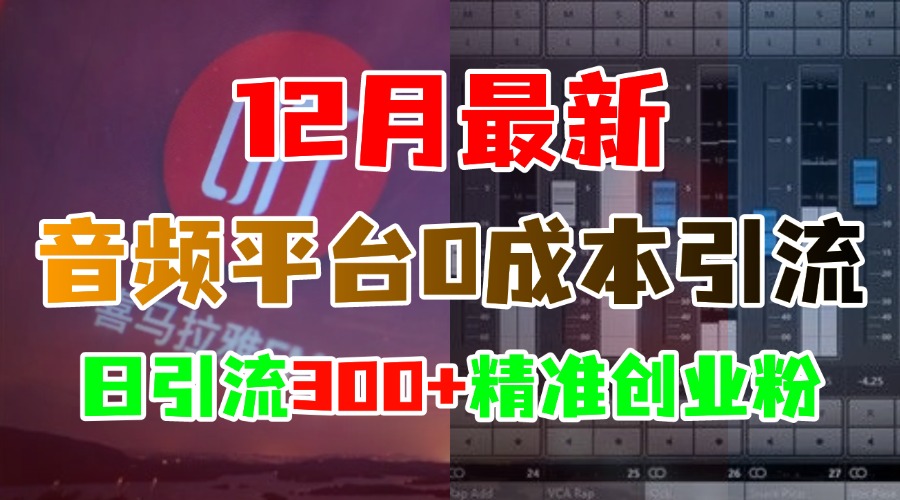 12月最新：音频平台0成本引流，日引300+精准创业粉-艾莉资源