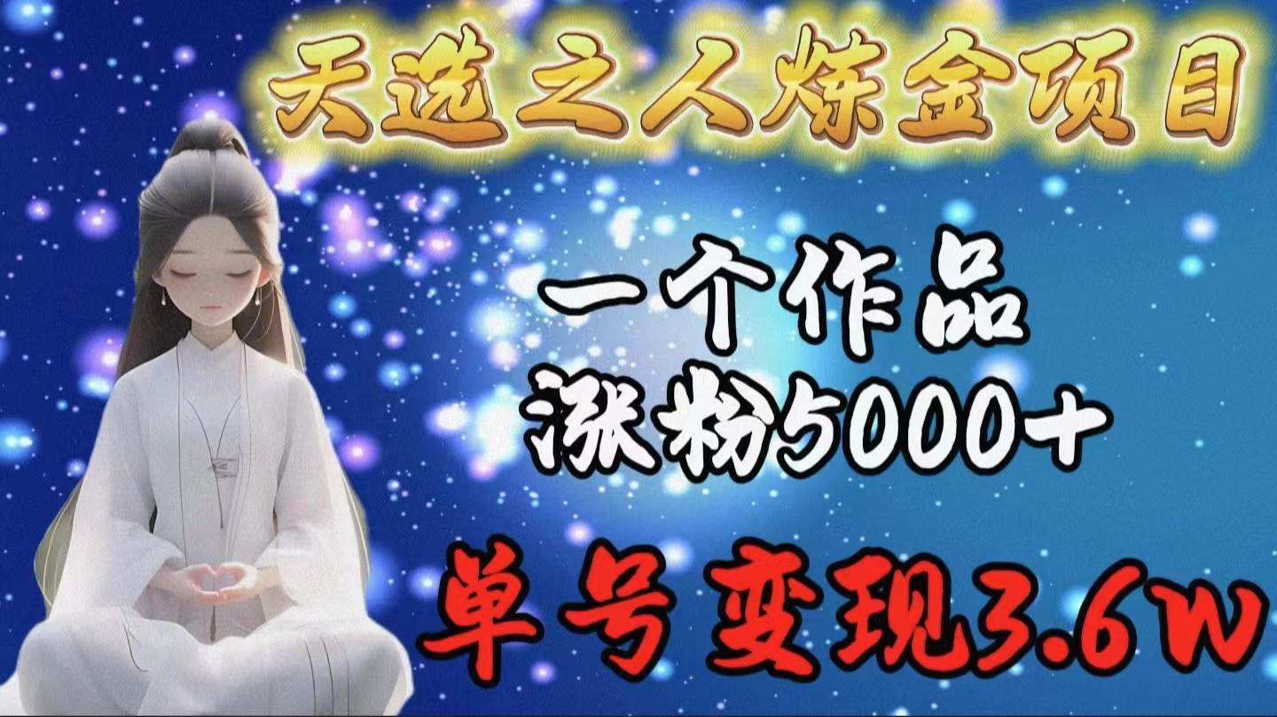 天选之人炼金项目，一个作品涨粉5000+，单号变现3.6w-艾莉资源
