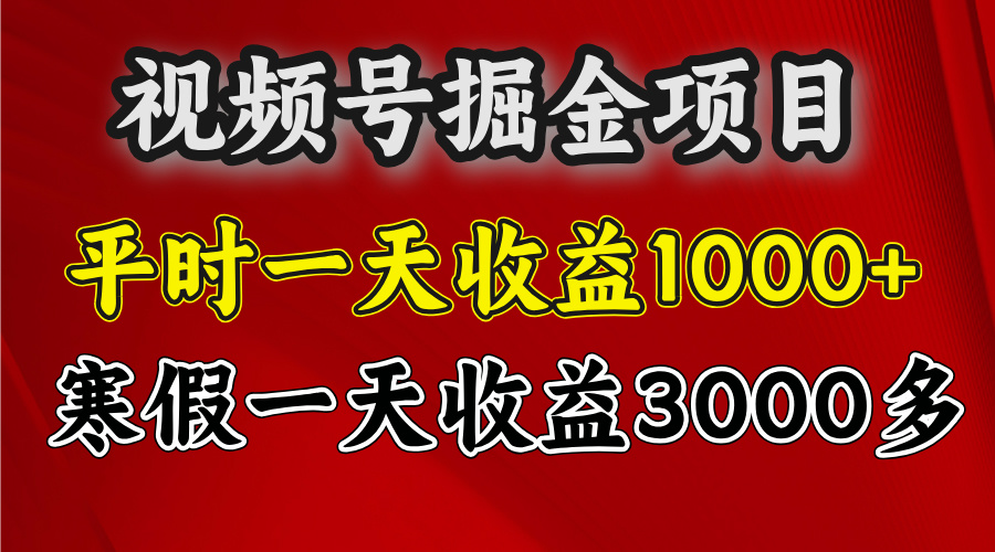 视频号掘金项目，寒假一天收益3000多-艾莉资源