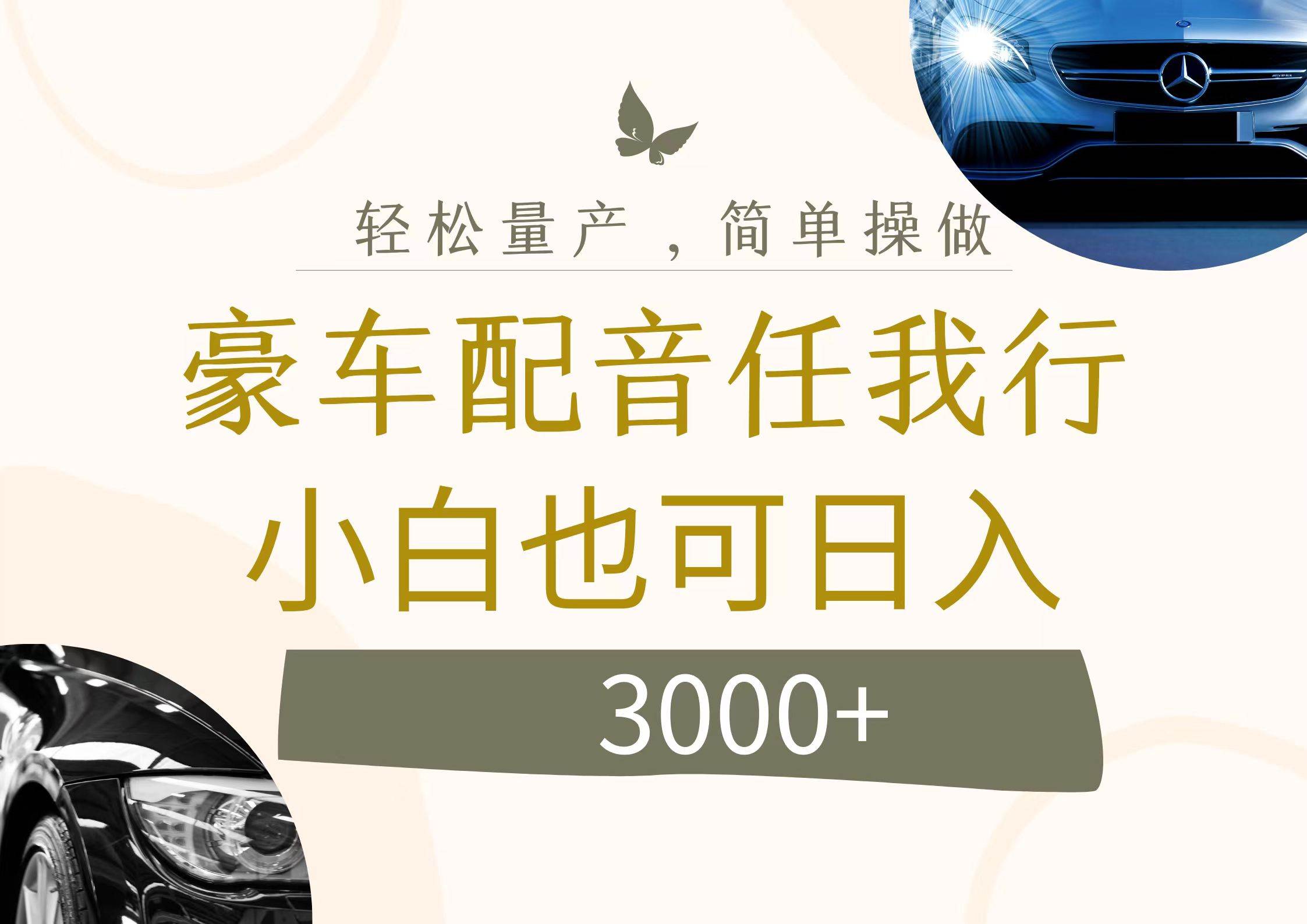不为人知的暴力小项目，豪车配音，日入3000+-艾莉资源