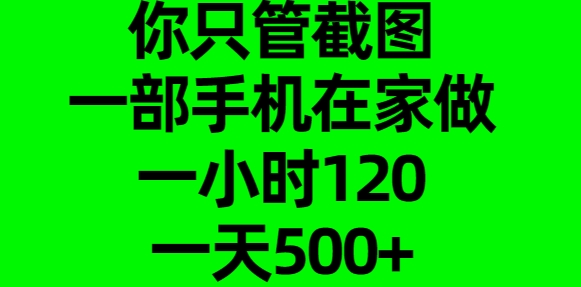 你只管截图，一部手机在家做，一小时120，一天500+-艾莉资源