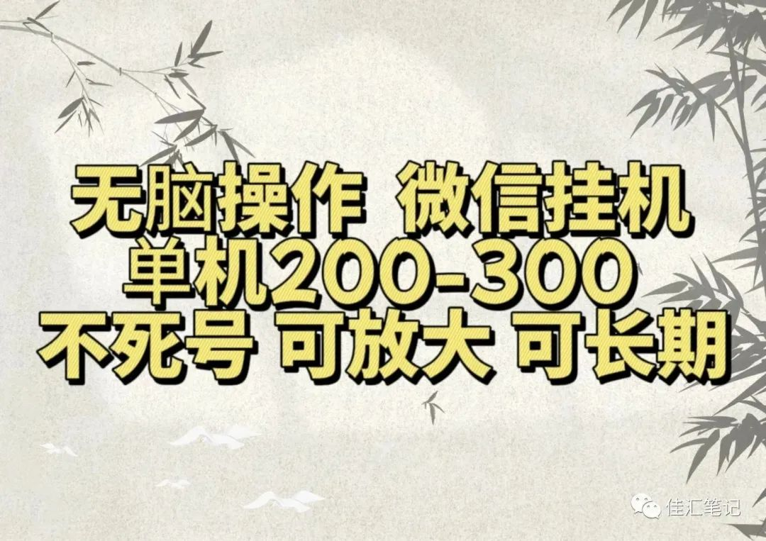 无脑操作微信视频号挂机单机200-300一天，不死号，可放大，工作室实测-艾莉资源