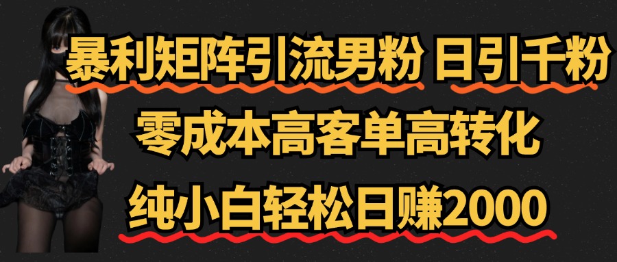 暴利矩阵引流男粉（日引千粉），零成本高客单高转化，纯小白轻松日赚2000+-艾莉资源
