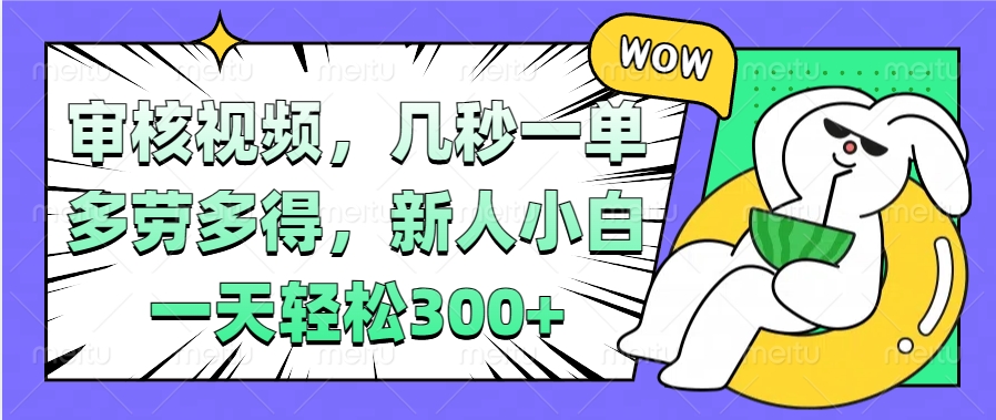 视频审核项目，几秒一单，多劳多得，新人小白一天轻松300+-艾莉资源