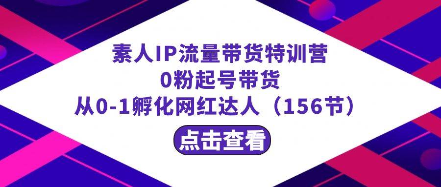 繁星·计划素人IP流量带货特训营：0粉起号带货 从0-1孵化网红达人（156节）-艾莉资源