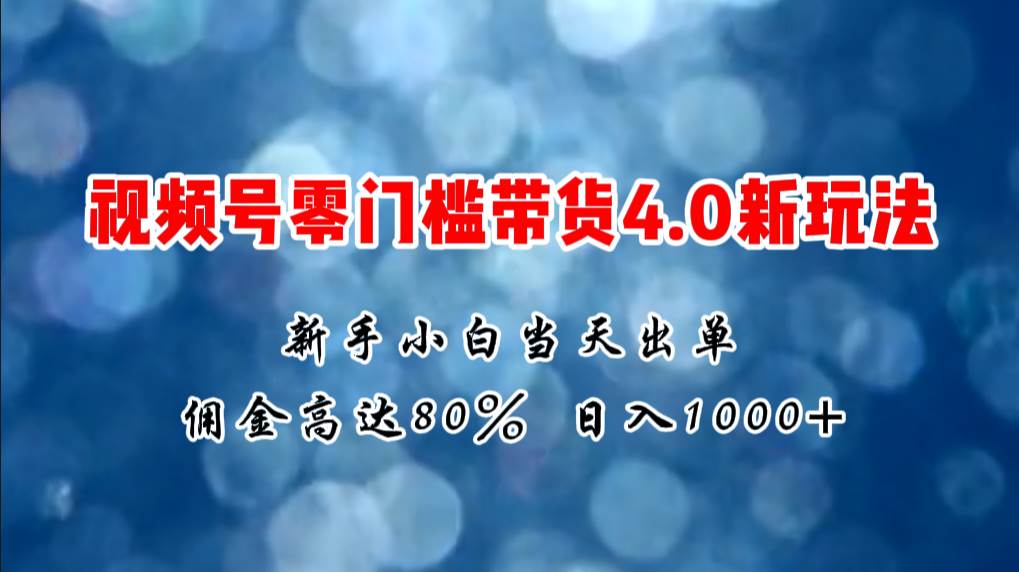 微信视频号零门槛带货4.0新玩法，新手小白当天见收益，日入1000+-艾莉资源
