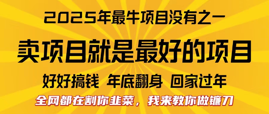 全网都在割你韭菜，我来教你做镰刀。卖项目就是最好的项目，2025年最牛互联网项目-艾莉资源