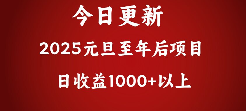 翻身项目，日收益1000+以上-艾莉资源