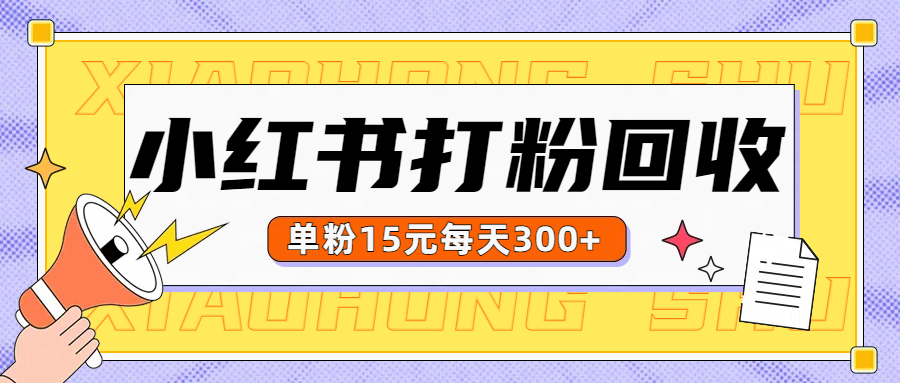 小红书打粉，单粉15元回收每天300+-艾莉资源