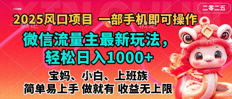 2025蓝海风口项目，微信流量主最新玩法，轻松日入1000+，简单易上手，做就有 收益无上限-艾莉资源