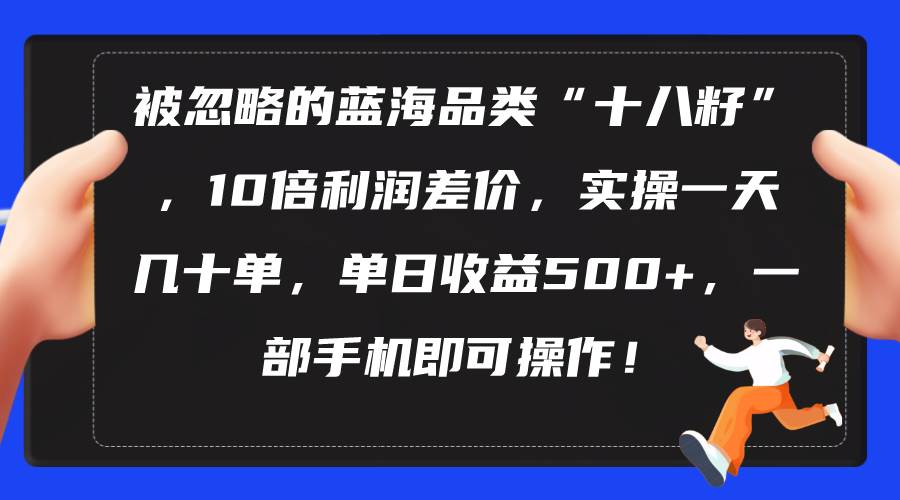 被忽略的蓝海品类“十八籽”，10倍利润差价，实操一天几十单 单日收益500+-艾莉资源