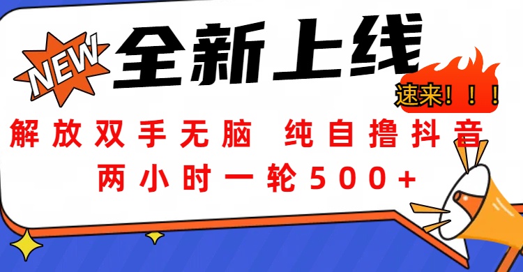 解放双手无脑 纯自撸抖音 两小时一轮500+-艾莉资源