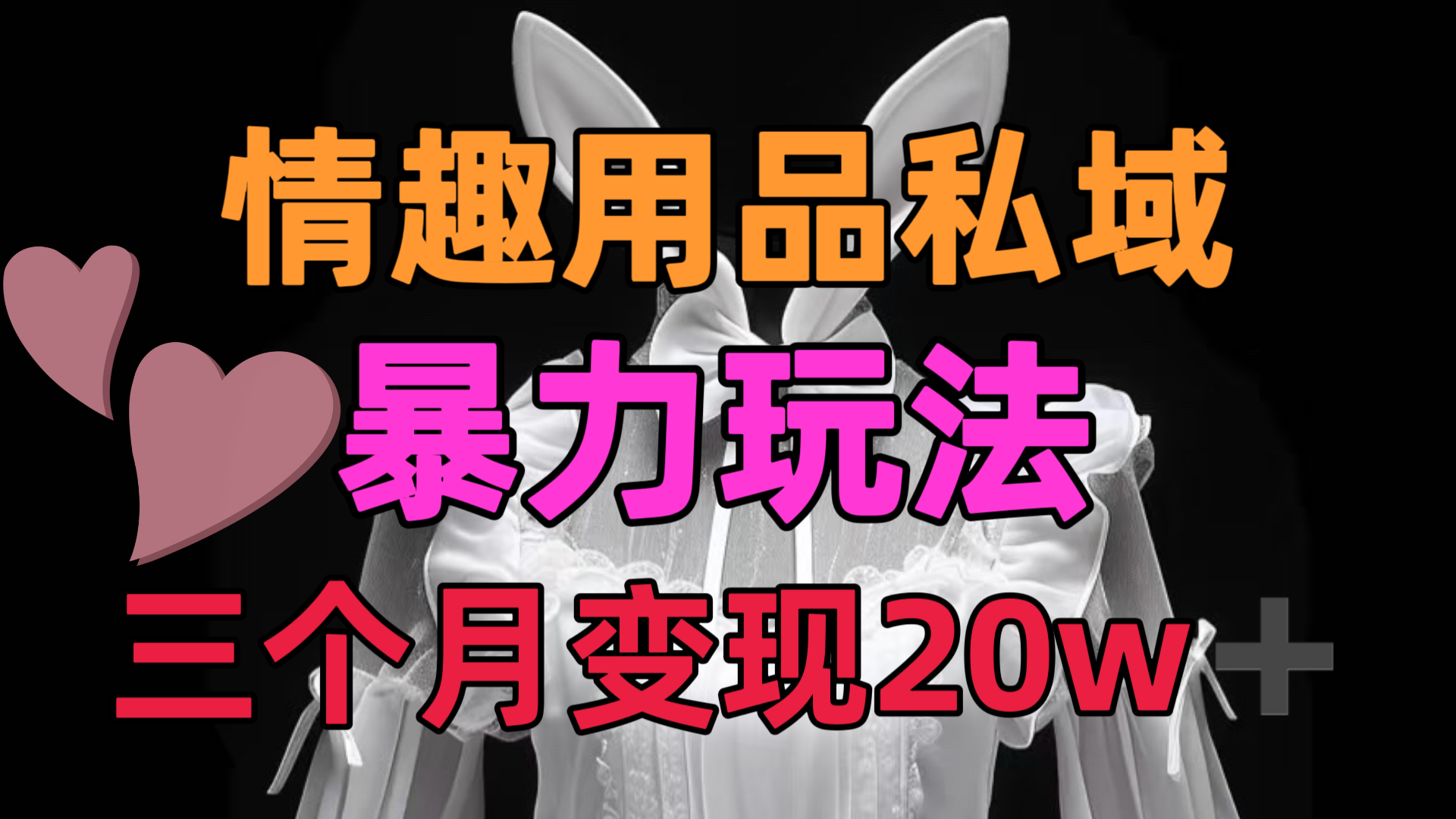 情趣用品私域，25年最新暴力玩法，三个月变现20w➕-艾莉资源