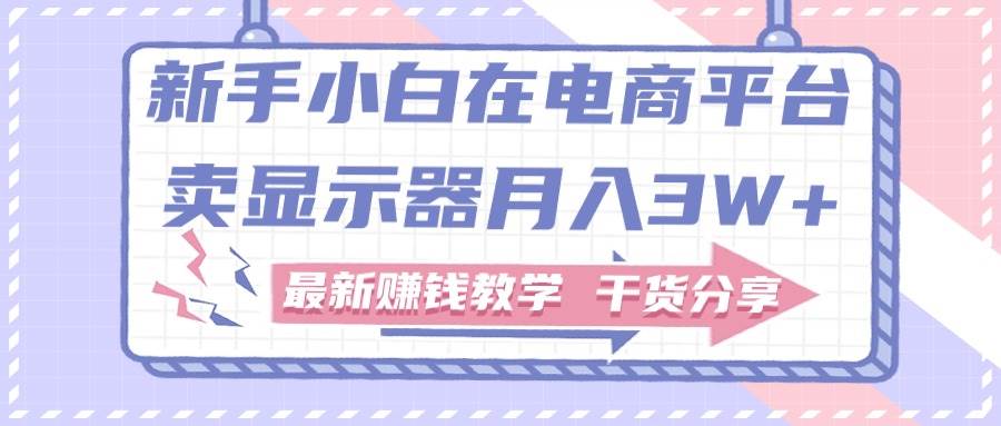 新手小白如何做到在电商平台卖显示器月入3W+，最新赚钱教学干货分享-艾莉资源