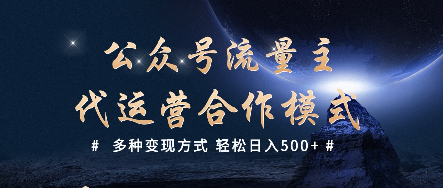 公众号流量主代运营  多种变现方式 轻松日入500+-艾莉资源