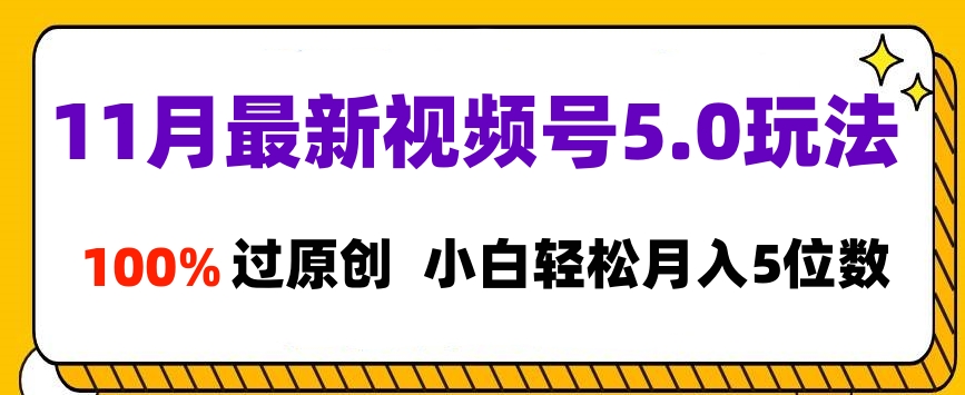 11月最新视频号5.0玩法，100%过原创，小白轻松月入5位数-艾莉资源