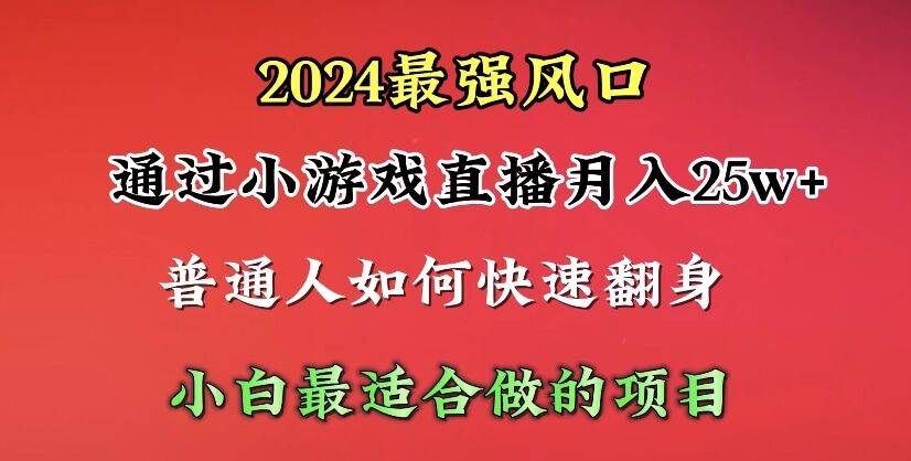 2024年最强风口，通过小游戏直播月入25w+单日收益5000+小白最适合做的项目-艾莉资源