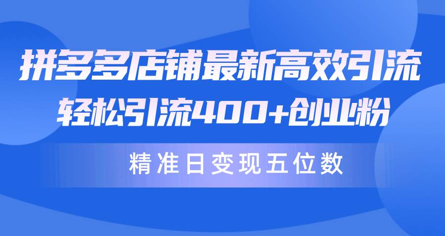 拼多多店铺最新高效引流术，轻松引流400+创业粉，精准日变现五位数！-艾莉资源