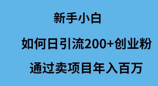 新手小白如何日引流200+创业粉通过卖项目年入百万-艾莉资源