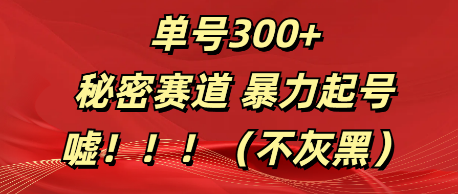 单号300+  秘密赛道 暴力起号  （不灰黑）-艾莉资源