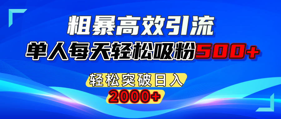 粗暴高效引流,单人每天轻松吸粉500+,轻松突破日入2000+-艾莉资源