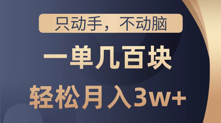 只动手不动脑，一单几百块，轻松月入2w+，看完就能直接操作，详细教程-艾莉资源