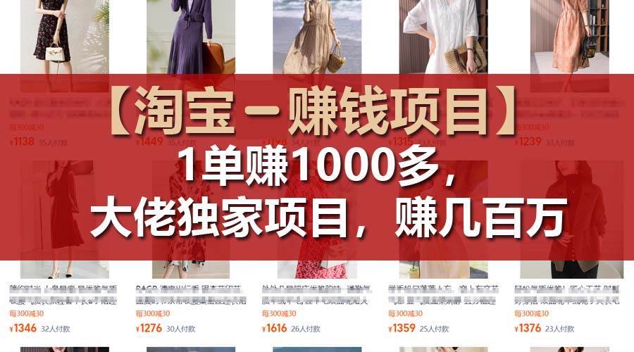 【淘宝赚钱项目】1单可赚1000多，大佬独家项目，年赚几百万-艾莉资源