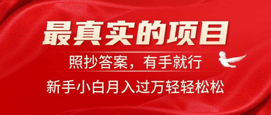 最真实的项目，照抄答案，有手就行，新手小白月入过万轻轻松松-艾莉资源