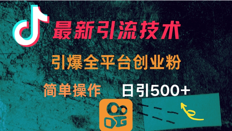 最新引流方法，引爆全平台创业粉操作简单，日引300＋-艾莉资源