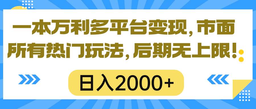 一本万利多平台变现，市面所有热门玩法，日入2000+，后期无上限！-艾莉资源