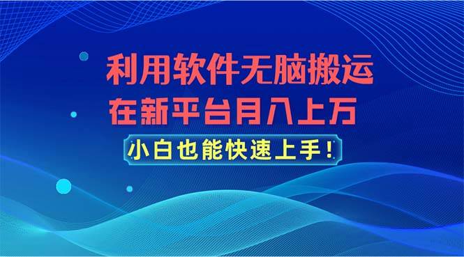 利用软件无脑搬运，在新平台月入上万，小白也能快速上手-艾莉资源