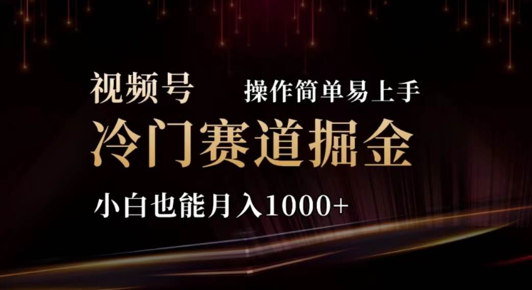 2024视频号冷门赛道掘金，操作简单轻松上手，小白也能月入1000+-艾莉资源