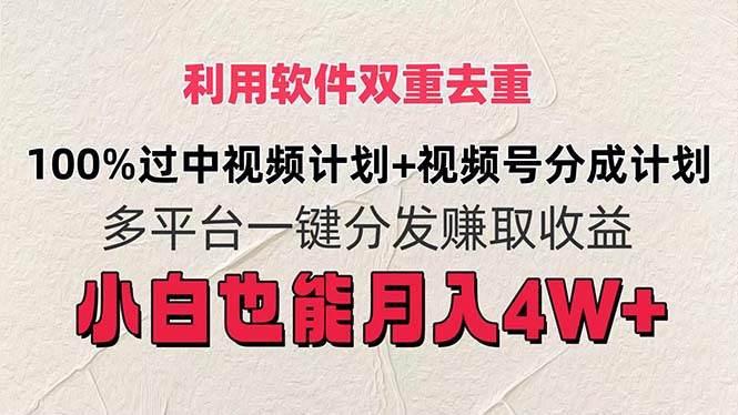 利用软件双重去重，100%过中视频+视频号分成计划小白也可以月入4W+-艾莉资源