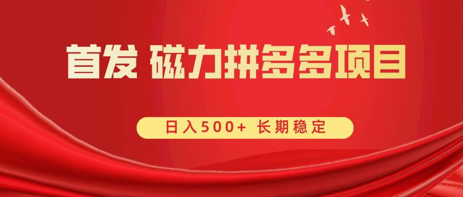 首发 磁力拼多多自撸  日入500+-艾莉资源