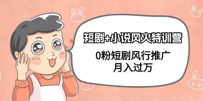 短剧+小说风火特训营，0粉短剧风行推广，月入过万（102节课）-艾莉资源