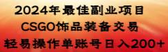 2024年最佳副业项目 CSGO饰品装备交易 轻易操作单账号日入200+-艾莉资源