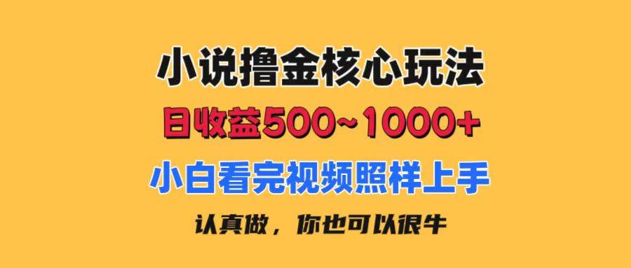 小说撸金核心玩法，日收益500-1000+，小白看完照样上手，0成本有手就行-艾莉资源