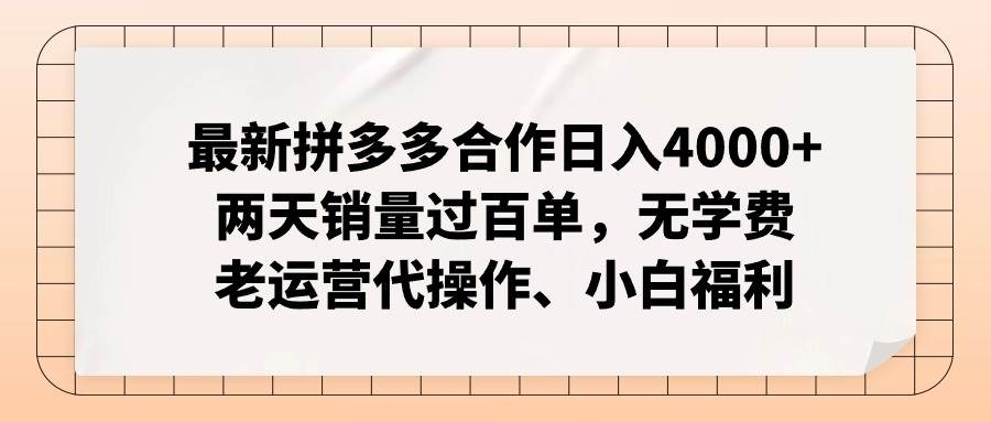 最新拼多多合作日入4000+两天销量过百单，无学费、老运营代操作、小白福利-艾莉资源