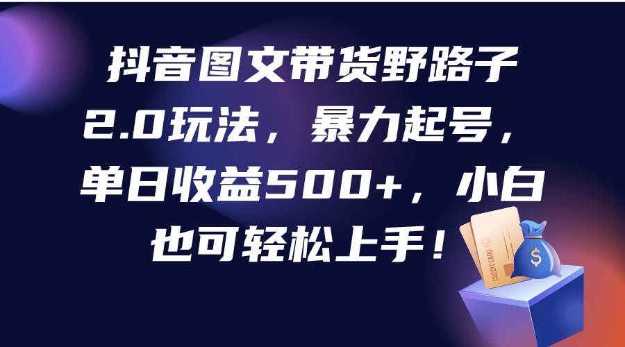 抖音图文带货野路子2.0玩法，暴力起号，单日收益500+，小白也可轻松上手！-艾莉资源