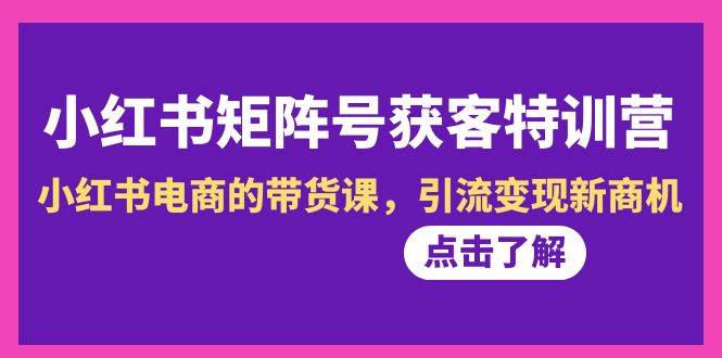 小红书-矩阵号获客特训营-第10期，小红书电商的带货课，引流变现新商机-艾莉资源