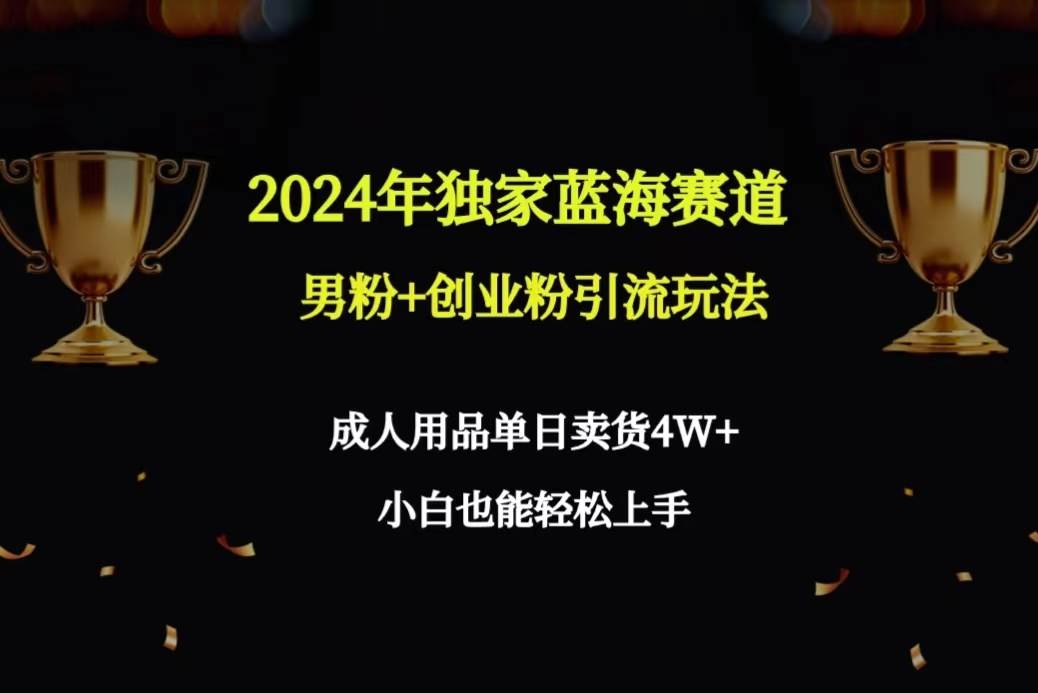 2024年独家蓝海赛道男粉+创业粉引流玩法，成人用品单日卖货4W+保姆教程-艾莉资源