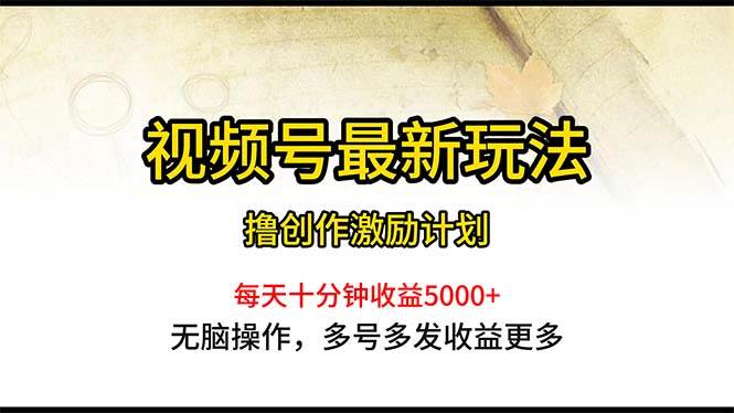视频号最新玩法，每日一小时月入5000+-艾莉资源