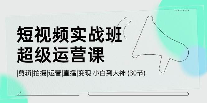 短视频实战班-超级运营课，|剪辑|拍摄|运营|直播|变现 小白到大神 (30节)-艾莉资源