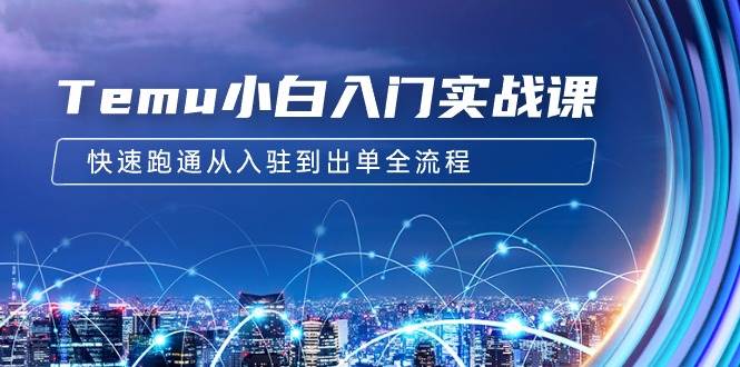 Temu小白入门实战课：跨境拼多多电商培训 快速跑通从入驻到出单全流程-12节-艾莉资源